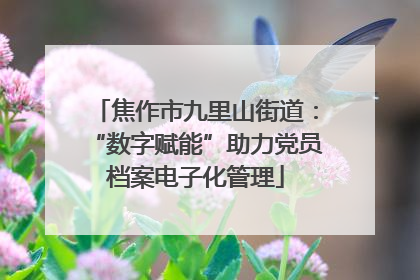 焦作市九里山街道：“数字赋能”助力党员档案电子化管理