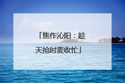 焦作沁阳：趁天抢时麦收忙