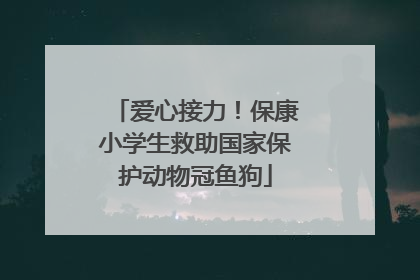 爱心接力！保康小学生救助国家保护动物冠鱼狗