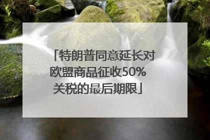 特朗普同意延长对欧盟商品征收50%关税的最后期限