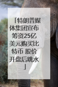 特朗普媒体集团宣布筹资25亿美元购买比特币 股价开盘后跳水