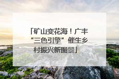 矿山变花海！广丰“三色引擎”催生乡村振兴新图景