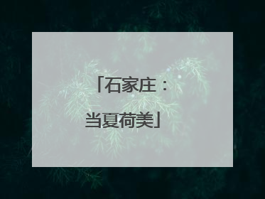 石家庄：当夏荷美