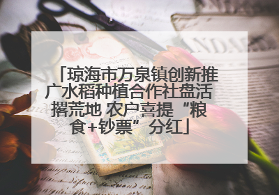 琼海市万泉镇创新推广水稻种植合作社盘活撂荒地 农户喜提“粮食+钞票”分红