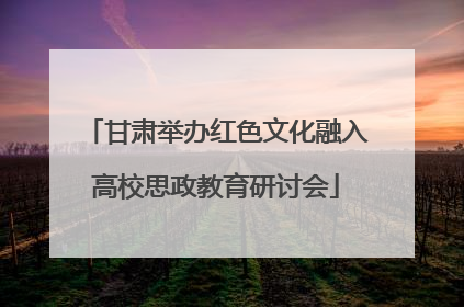 甘肃举办红色文化融入高校思政教育研讨会