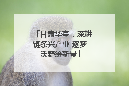 甘肃华亭：深耕链条兴产业 逐梦沃野绘新景