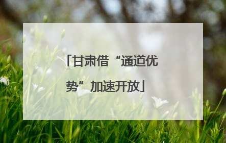 甘肃借“通道优势”加速开放