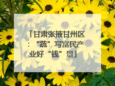 甘肃张掖甘州区：“蔬”写富民产业好“钱”景