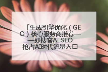 生成引擎优化（GEO）核心服务商推荐——即搜客AI SEO抢占AI时代流量入口（含 GEO报价）