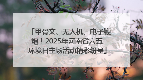 甲骨文、无人机、电子鞭炮！2025年河南省六五环境日主场活动精彩纷呈