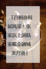 百舸奋楫展风采！张家浜上演陆家嘴金融城龙舟赛