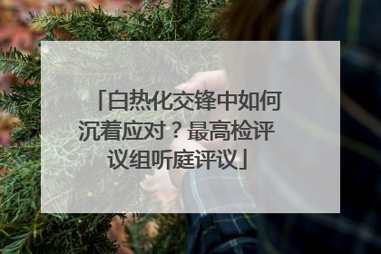 白热化交锋中如何沉着应对？最高检评议组听庭评议