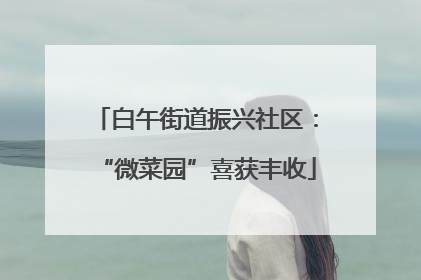 白午街道振兴社区：“微菜园”喜获丰收