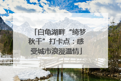白龟湖畔“绮梦秋千”打卡点：感受城市浪漫温情