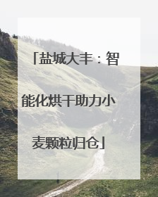 盐城大丰：智能化烘干助力小麦颗粒归仓