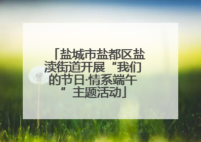 盐城市盐都区盐渎街道开展“我们的节日·情系端午”主题活动