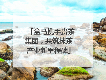 盒马携手贵茶集团，共筑抹茶产业新里程碑