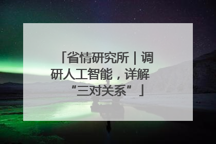 省情研究所｜调研人工智能，详解“三对关系”