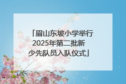 眉山东坡小学举行2025年第二批新少先队员入队仪式