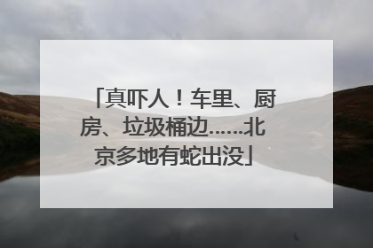 真吓人！车里、厨房、垃圾桶边……北京多地有蛇出没