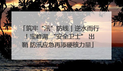 筑牢“汛”防线｜逆水而行！宝峰湖 “安全卫士” 出鞘 防汛应急再添硬核力量