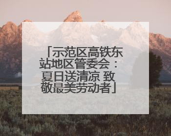 示范区高铁东站地区管委会：夏日送清凉 致敬最美劳动者