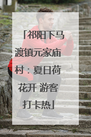 祁阳下马渡镇元家庙村：夏日荷花开 游客打卡热