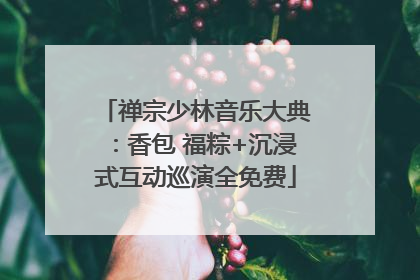 禅宗少林音乐大典：香包 福粽+沉浸式互动巡演全免费