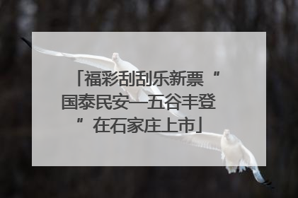 福彩刮刮乐新票“国泰民安—五谷丰登”在石家庄上市