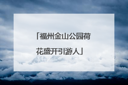 福州金山公园荷花盛开引游人