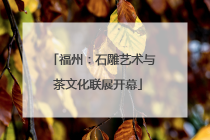 福州：石雕艺术与茶文化联展开幕