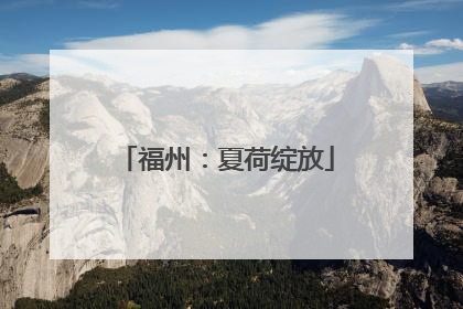 福州：夏荷绽放