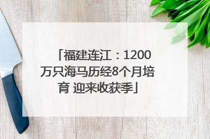 福建连江：1200万只海马历经8个月培育 迎来收获季