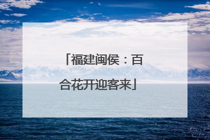 福建闽侯：百合花开迎客来