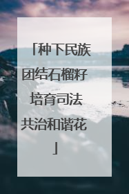 种下民族团结石榴籽 培育司法共治和谐花