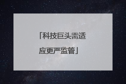 科技巨头需适应更严监管