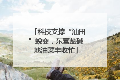 科技支撑“油田”蜕变，东营盐碱地油菜丰收忙