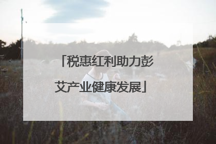 税惠红利助力彭艾产业健康发展