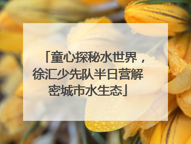 童心探秘水世界，徐汇少先队半日营解密城市水生态