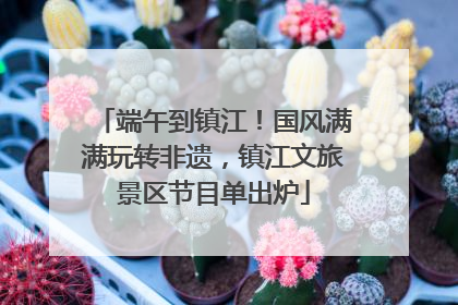 端午到镇江！国风满满玩转非遗，镇江文旅景区节目单出炉