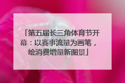 第五届长三角体育节开幕：以赛事流量为画笔，绘消费增量新图景