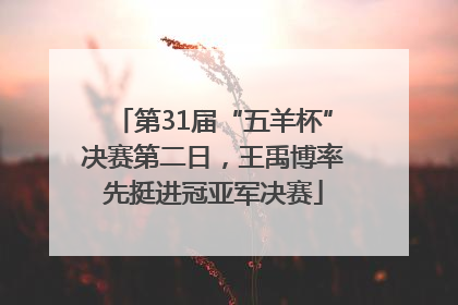 第31届“五羊杯”决赛第二日，王禹博率先挺进冠亚军决赛