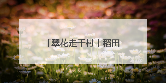 翠花走千村丨稻田有喜，螃蟹来了！