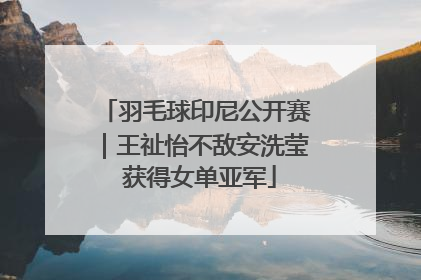 羽毛球印尼公开赛｜王祉怡不敌安洗莹 获得女单亚军