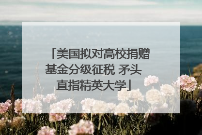 美国拟对高校捐赠基金分级征税 矛头直指精英大学