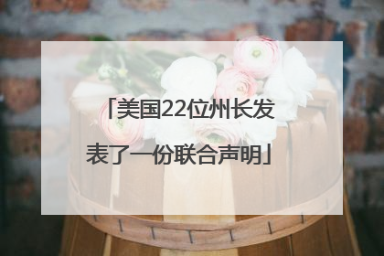美国22位州长发表了一份联合声明