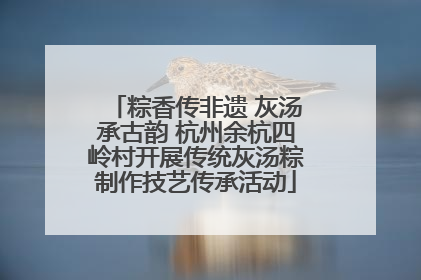 粽香传非遗 灰汤承古韵 杭州余杭四岭村开展传统灰汤粽制作技艺传承活动