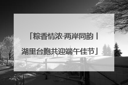 粽香情浓·两岸同韵丨湖里台胞共迎端午佳节
