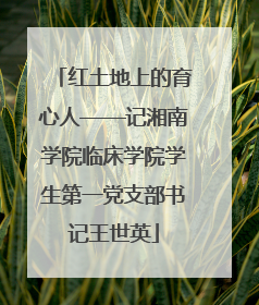 红土地上的育心人——记湘南学院临床学院学生第一党支部书记王世英