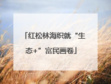 红松林海织就“生态+”富民画卷